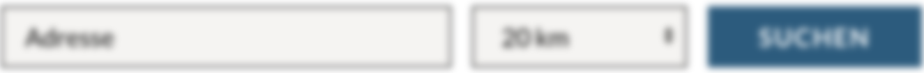 Suchzeile mit Adresse, km und suchen button